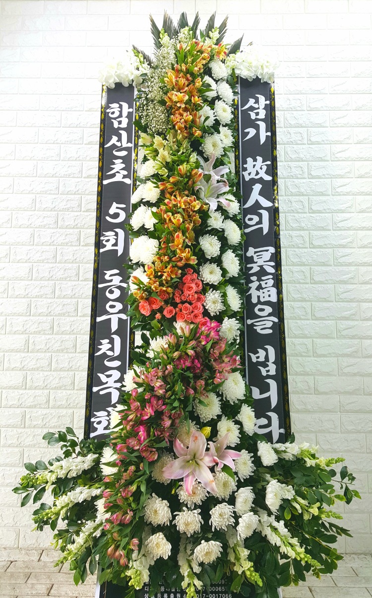 ȭȯ  ۻ 