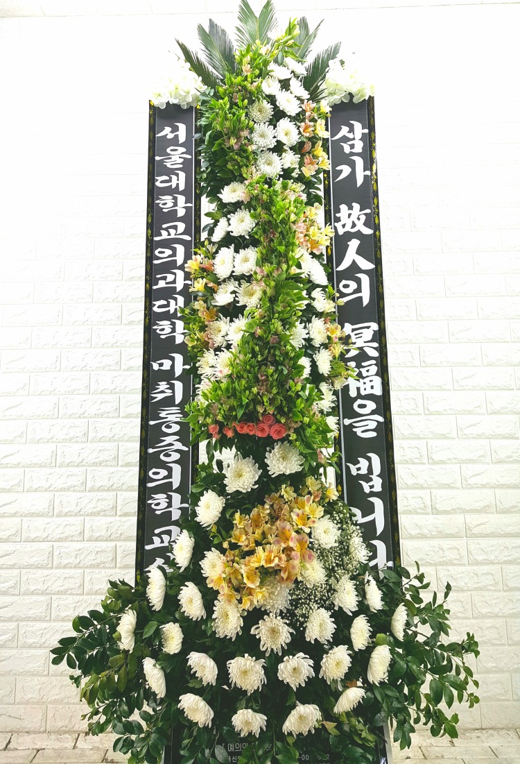 ȭȯ  ۻ 