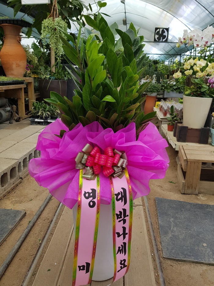  ۻ 