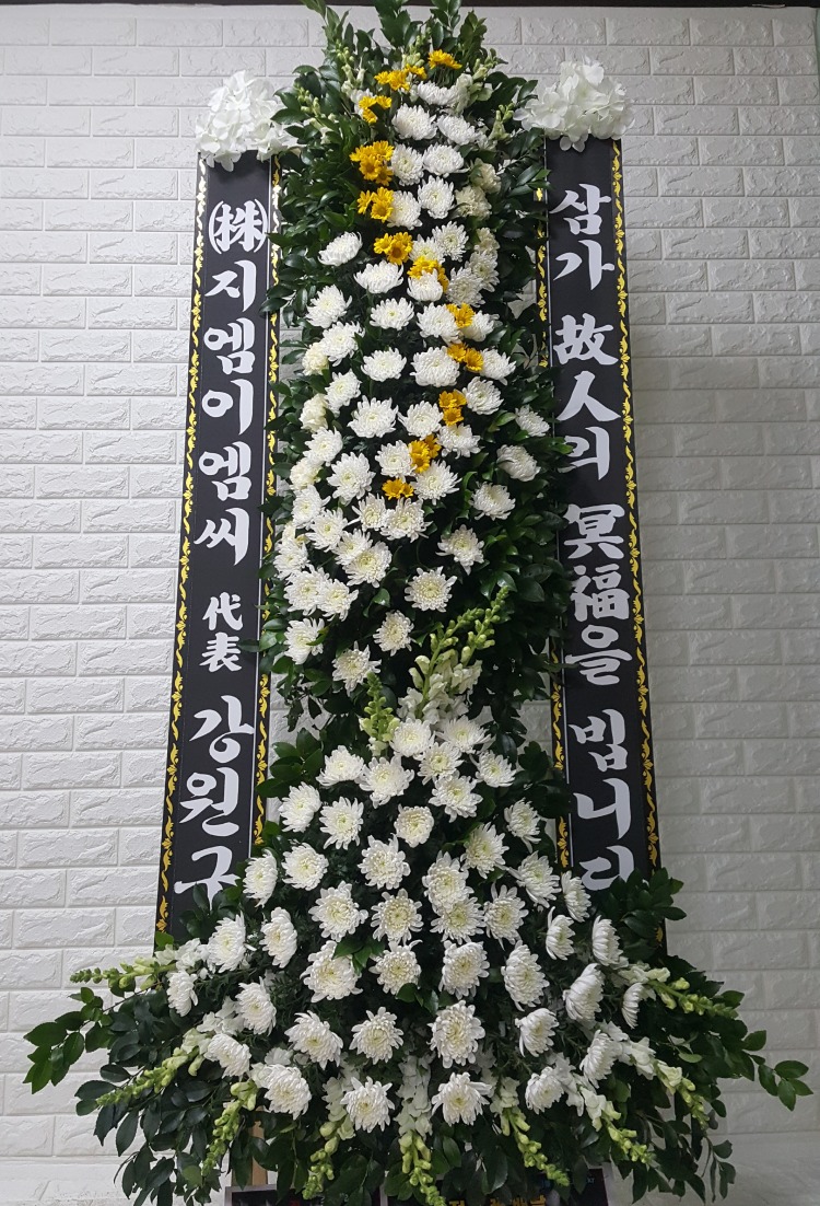 ȭȯ ۻ 