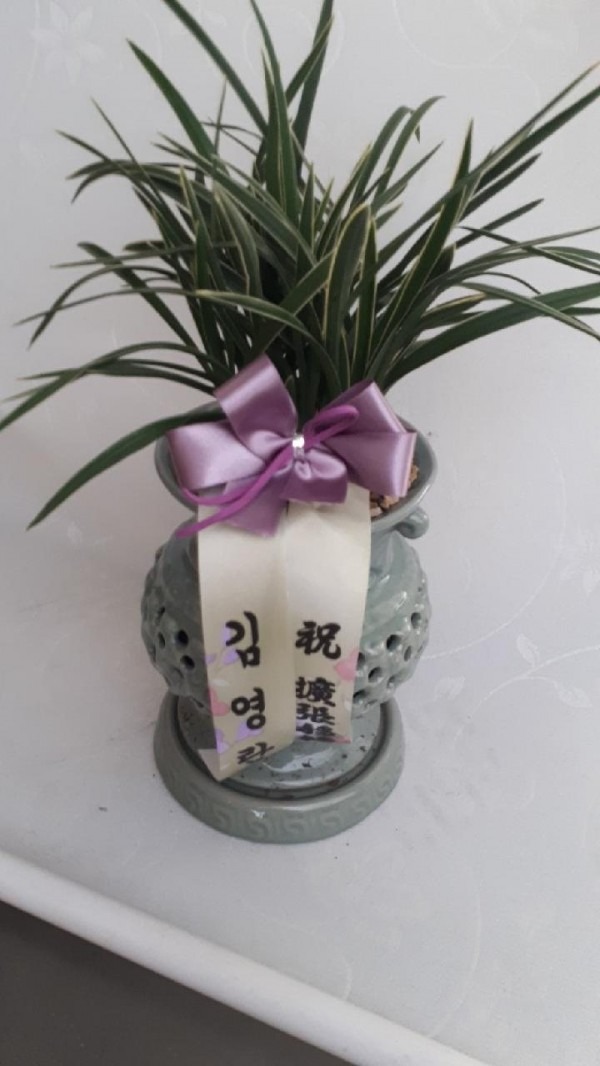 迵 